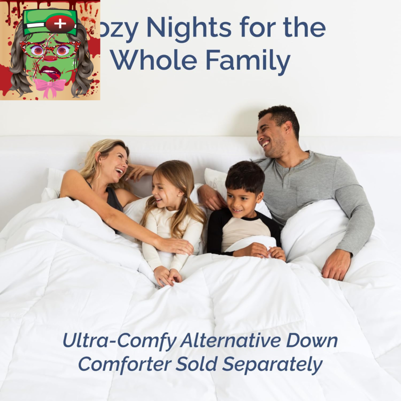 Queen Size 4 Piece Sheet Set - Comfy Breathable & Cooling Bed Sheets Set - Hotel