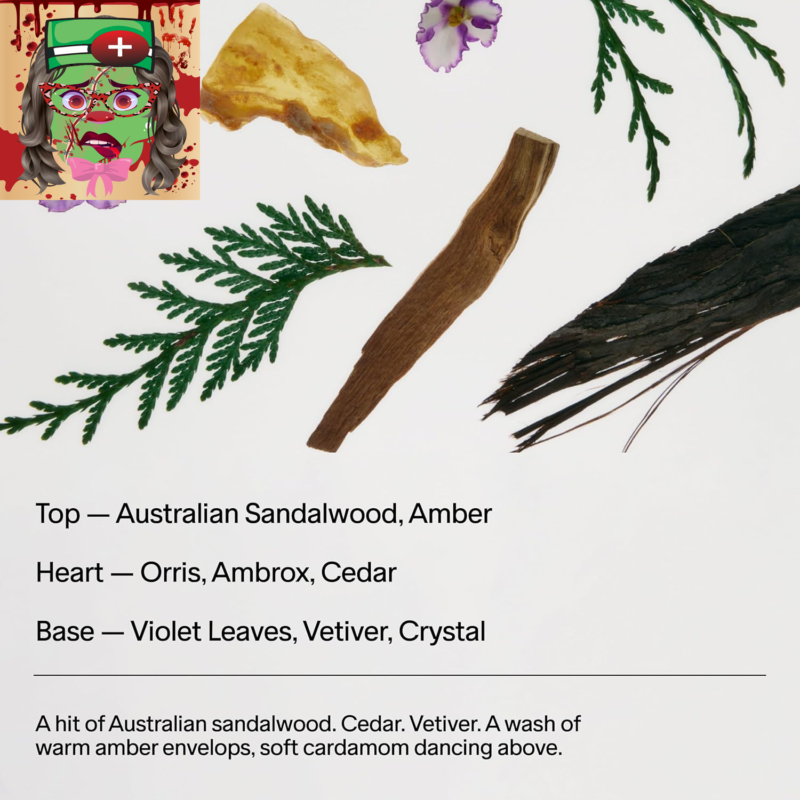 Salt & Stone Body Mist + Natural Deodorant Bundle | Santal & Vetiver