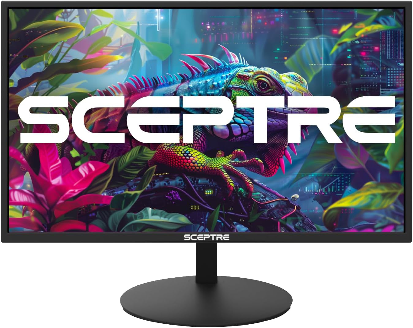 24-Inch Professional Thin 1080P LED Monitor 99% Srgb 2X HDMI VGA Build-In Speakers, Machine Black (E248W-19203R Series)